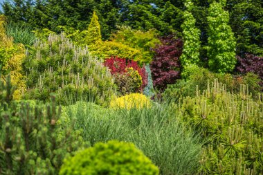 İnsanlar güneşli bir günde çeşitli bitki ve ağaçlarla dolu bir bahçede yürür..