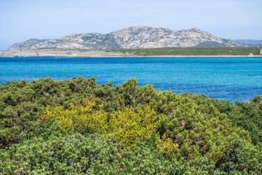 Yeşil çalılar, Sardunya 'da berrak bir gökyüzünün altında dağlar olan engin mavi bir denizi resmediyor.