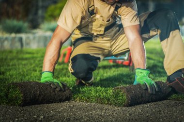 Bir bahçıvan akşamları bahçede çim biçmeye çalışır..