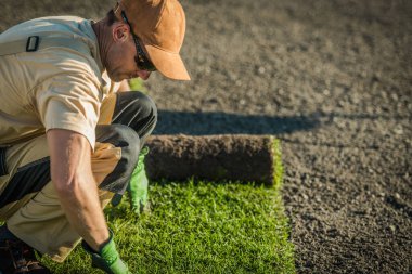 Bir işçi yerde diz çöker, çimenleri dikkatlice çimenliğe yerleştirir bir peyzaj projesinin parçası olarak..