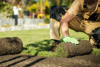 A person is putting down grass rolls in a sunny yard while working in the afternoon. This task improves the lawn.