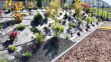 Eğik Peyzaj için Modern Bahçe Teknikleri. Sulama Sistemi Kurulumu.