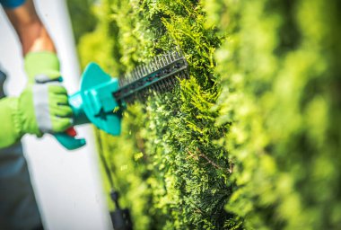 Bir insan bahçedeki çalıları şekillendirmek için çim biçme makinesi kullanıyor. Çevre yeşillikle çevrili.