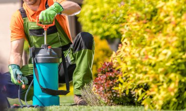 Bir adam bahçedeki bitkilere spreyle sıvı uygular. O, işine odaklanmış..