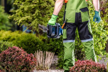 Bahçede elinde çim biçme makinesiyle dikilen bir adam öğleden sonra çalıları buduyor..