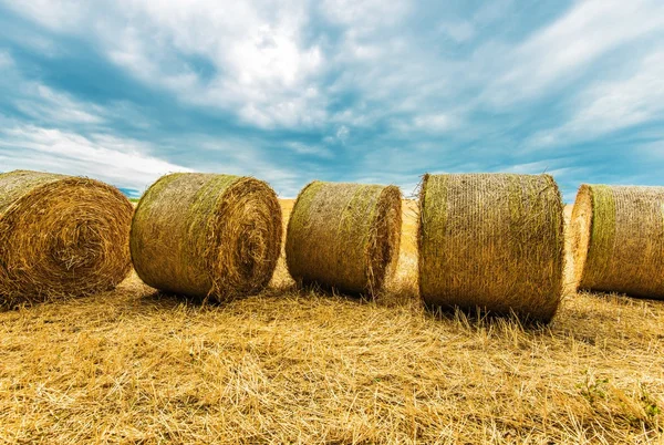 Balle di fieno paesaggio agricolo — Foto Stock