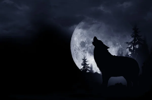 Heulender Wolf — Stockfoto