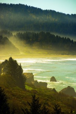 California Pasifik Sahili