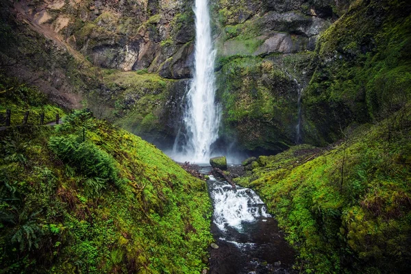 Mossy Oregon Waterfall — Stock Photo, Image