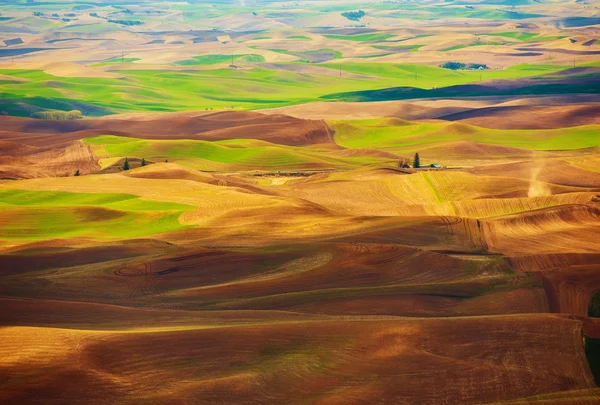 Cena passo dedo do pé paisagem — Fotografia de Stock