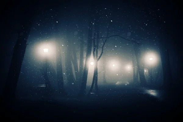 Snowy and Foggy Park — Stock Photo, Image