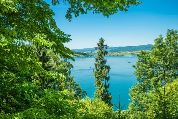 Lake Czorsztyn. Jezioro Czorsztynskie — Stockfoto