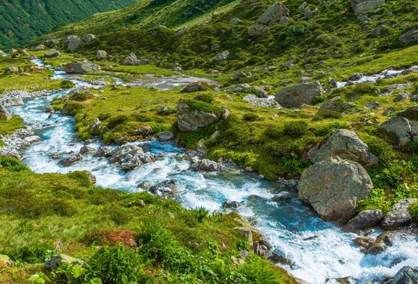 Doğal Alp Nehri — Stok fotoğraf