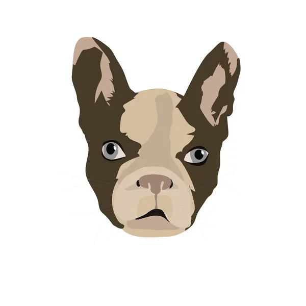 Hond Franse Bulldog vector platte illustratie handtekening — Stockvector