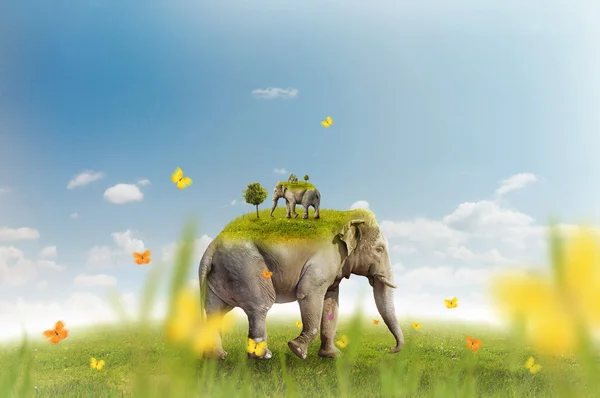 Elephant on green meadow - recursion — Stock Photo, Image