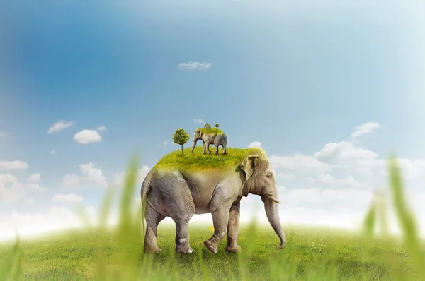 Elephant on green meadow - recursion — Stock Photo, Image