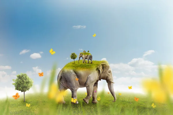 Elephant on green meadow - recursion — Stock Photo, Image