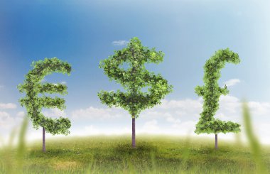 Finansal büyüme ve başarı bir yeşil refah ve yatırımlar büyüyen bir iş kavramı gösterilen bir para işareti şeklinde bir tek ağaçlar, doğal yeşil çimen yatay yaz