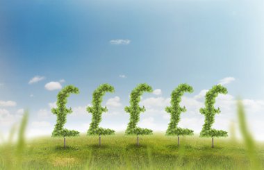 Finansal büyüme ve başarı bir yeşil refah ve yatırımlar büyüyen bir iş kavramı gösterilen bir para işareti şeklinde bir tek ağaçlar, doğal yeşil çimen yatay yaz