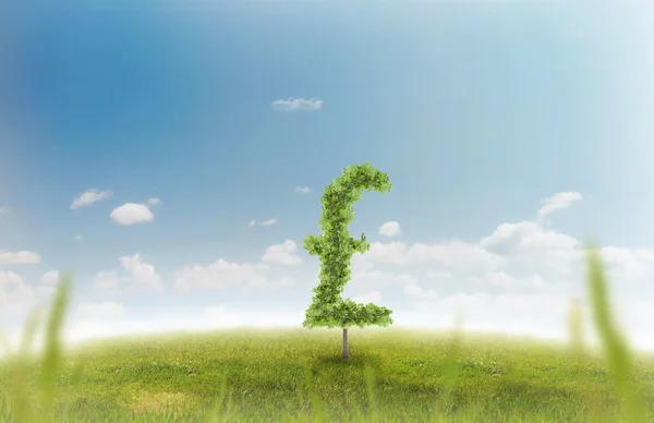 Financial growth and success on a green summer natural green grass landscape with a single trees in the shape of a money sign showing a business concept of growing prosperity and investments — Stock Photo, Image