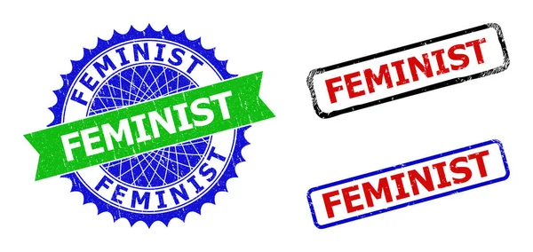 Emblemas FEMINIST Rosette e Rectangle Bicolor com Superfícies Impuras —  Vetores de Stock