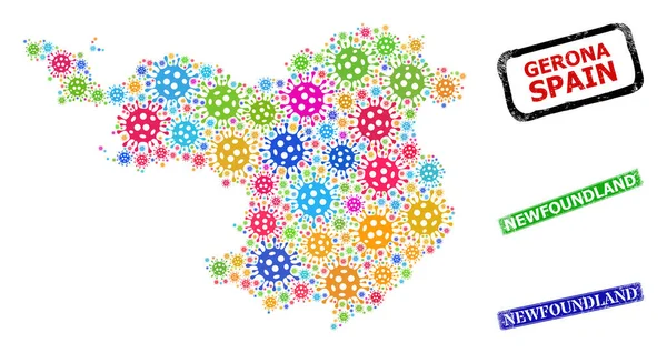 Insignes texturés de Terre-Neuve et carte colorée de la province de Gérone Collage — Image vectorielle