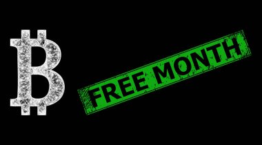 Desenli Serbest Ay Damgası Mührü ve Ağ Bitcoin Sembol Ağı Parlak İşaret Fişekleri Ağı