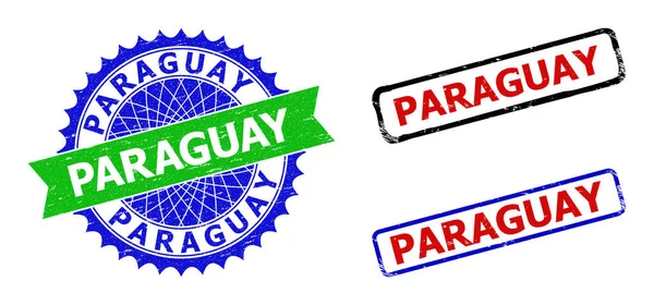 PARAGUAY Rosetta e Rettangolo Badge Bicolore con texture graffiate — Vettoriale Stock