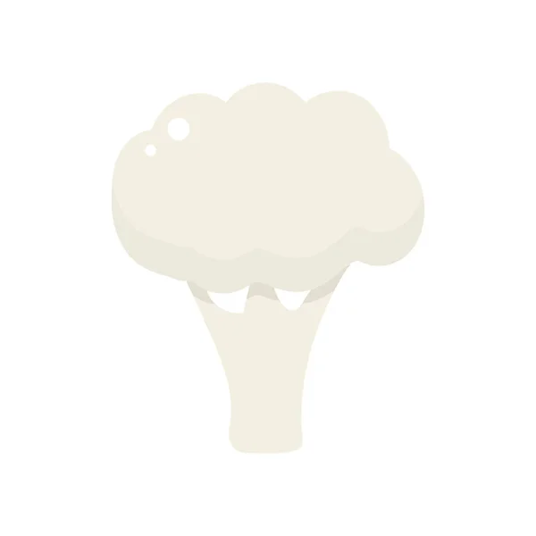 Icono Aislado Coliflor Sobre Fondo Blanco Ilustración Plana Del Vector — Vector de stock