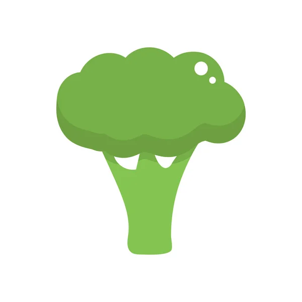 Icona Dei Broccoli Isolata Sfondo Bianco Illustrazione Piatta Vettoriale — Vettoriale Stock