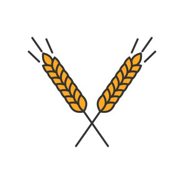 Beyaz bir arka planda izole edilmiş mısır gevreği kulakları..