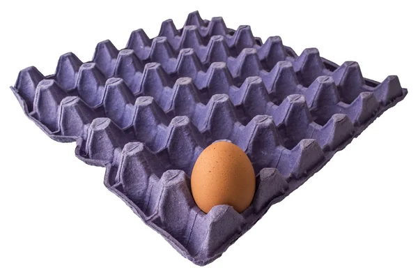 Konteyner panelinde yumurta