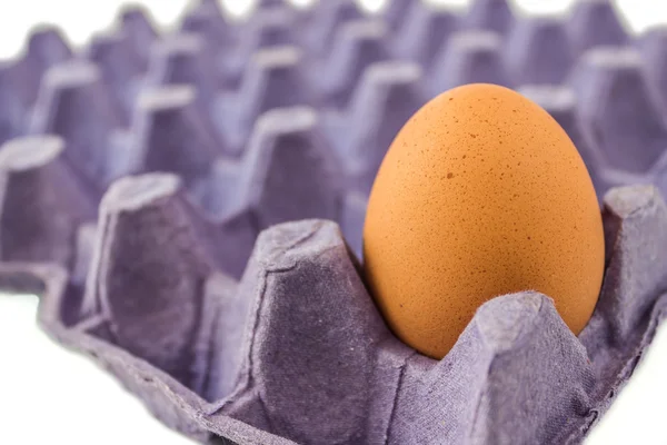 Konteyner panelinde yumurta