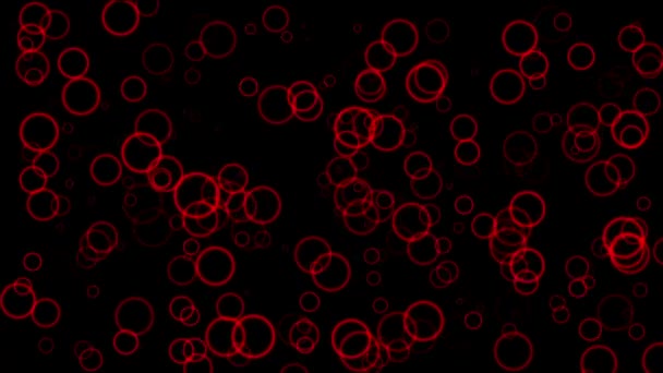 Red circles and bubbles — Stock Footage Red circles and bubbles Royalty Free Stock Footage