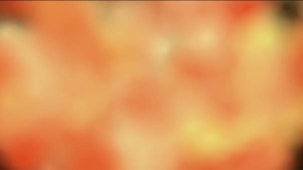 Oranje achtergrond van wazig deeltjes — Stockvideo