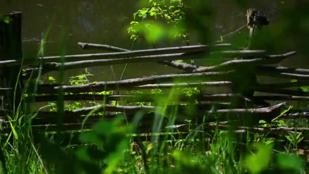 Wicker fence on the shore — Stock Video