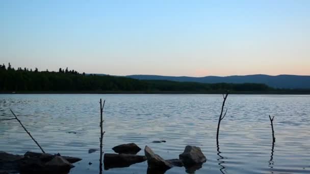 Beautiful evening summer. — Stock Video