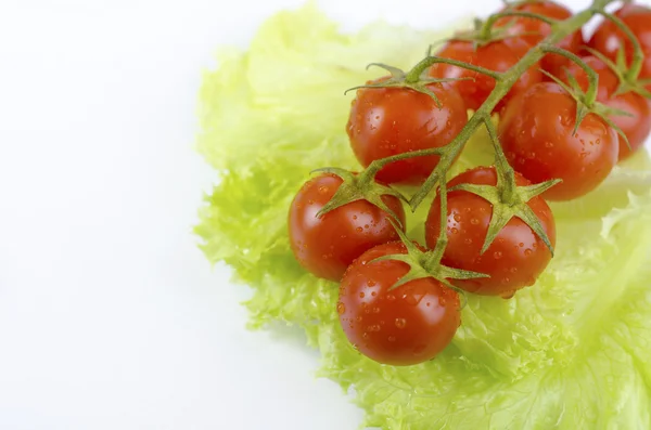 tomatoes and green salad leaf