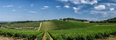 Chianti bölge Toskana, İtalya