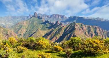 Arka planda Roque Bentayga ve Roque Nublo, Gran Canaria, Kanarya Adaları, İspanya
