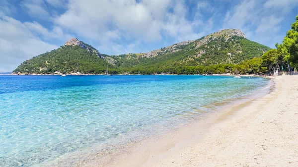 Playa Formentor Cala Posada 美しいビーチでCap Formentor パルマ マリョルカ スペイン — ストック写真