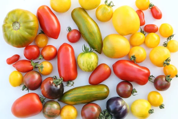 Tomates coloridos de diferentes tipos — Fotografia de Stock