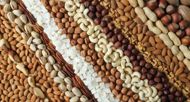 Fındık çeşitleri.