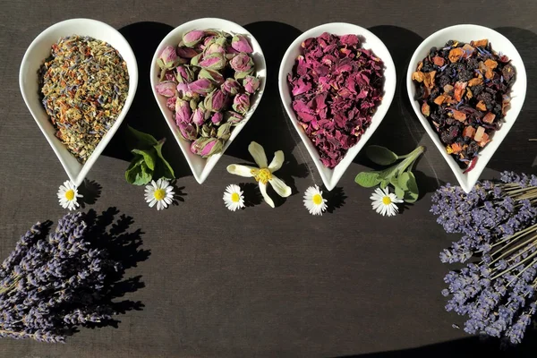 Blommor för aromaterapi. — Stockfoto
