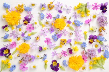 bahar çiçekleri arka planı.