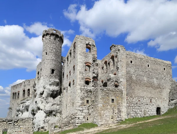Castello Ogrodzieniec. Polonia . — Foto Stock
