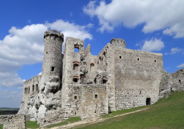Kale Ogrodzieniec. Polonya.