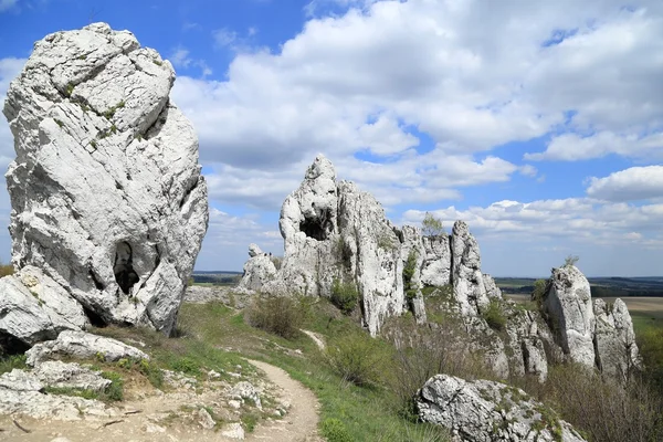 Landscape with limestone rocks. — Stock Photo, Image