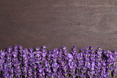 lavanta ile çerçeve.