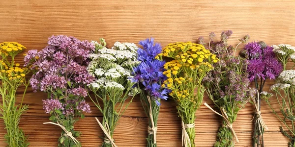 Herbs. Natural medicine. — Stock Photo, Image